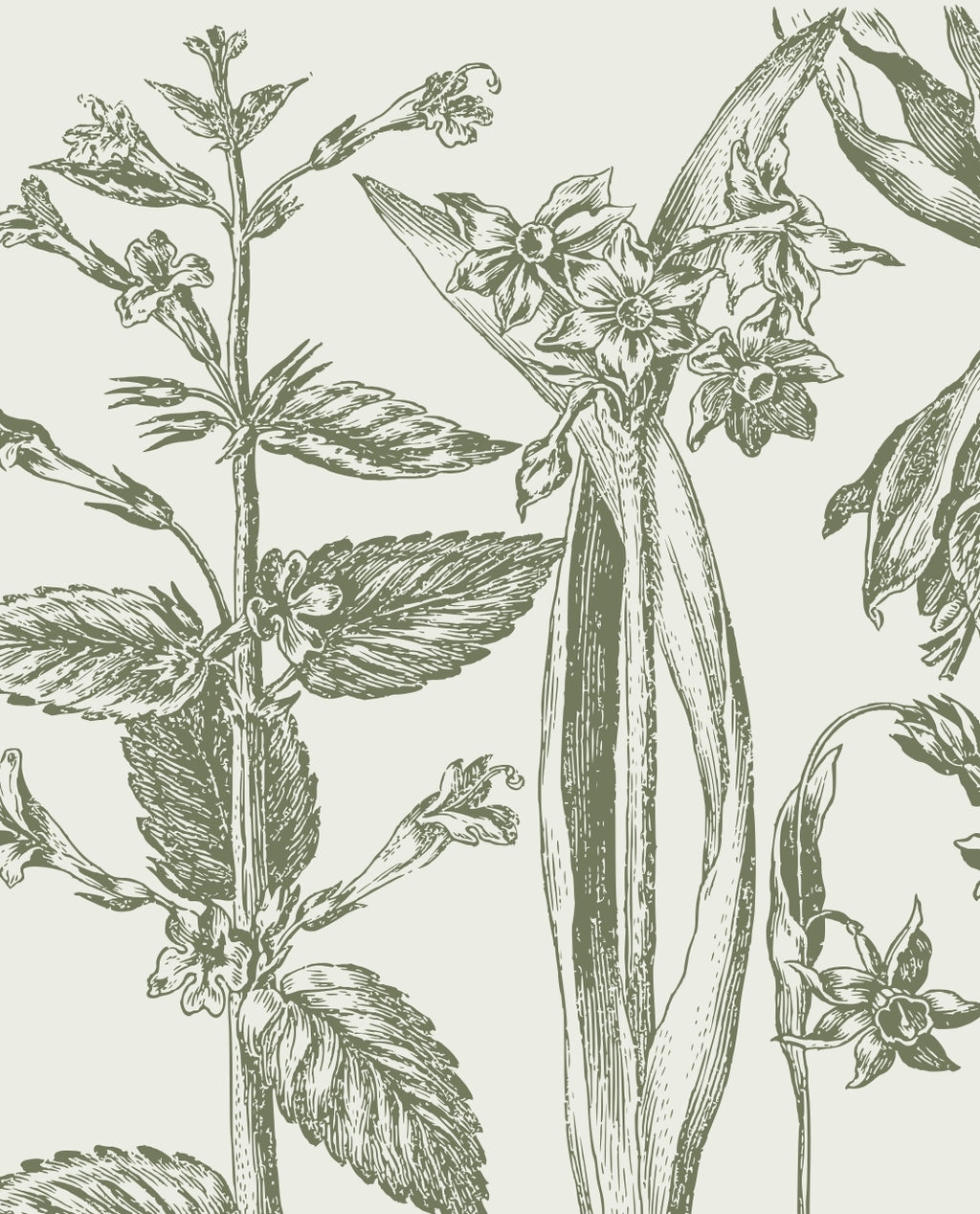 Holiday Wreath Making Workshop