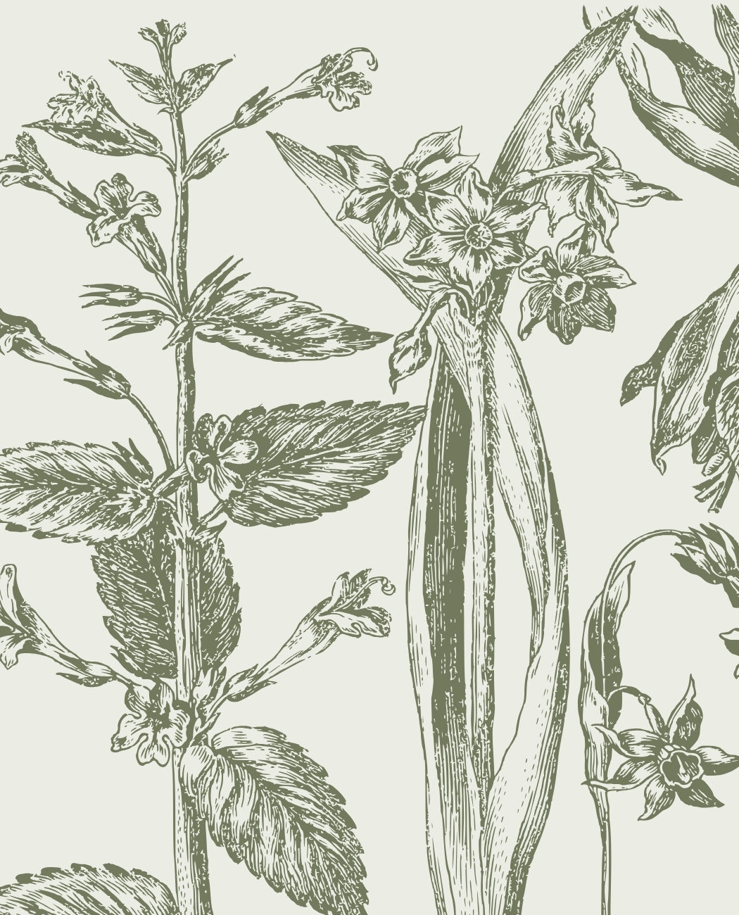 Holiday Wreath Making Workshop