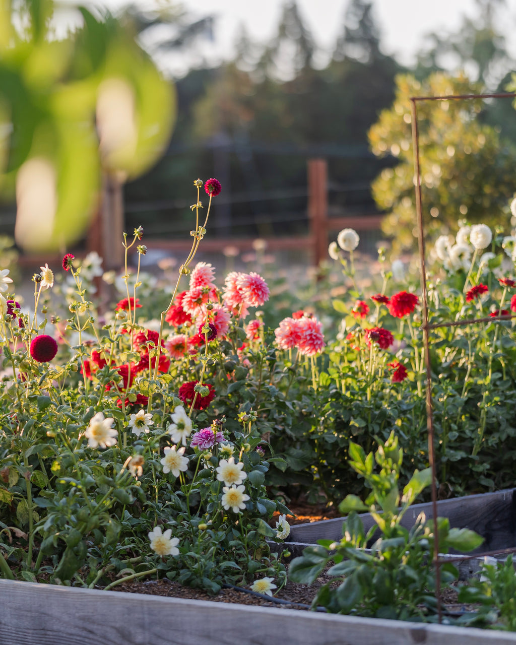 Summer Floral Workshop